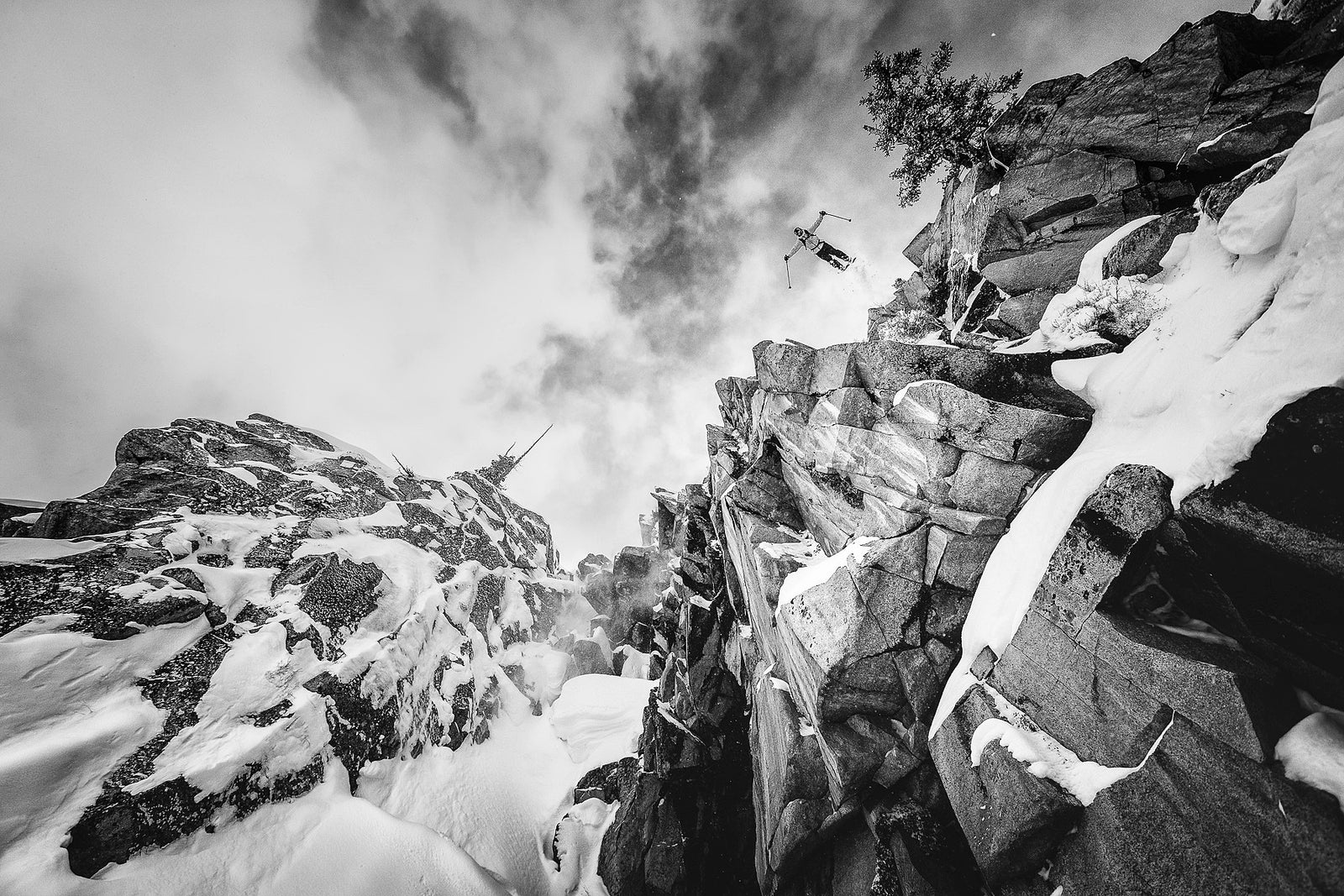 Julian Carr Wins X-Games Gold