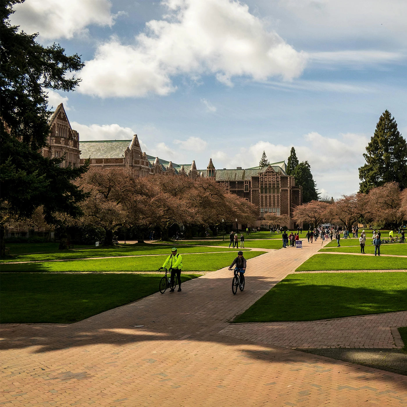bicycle riders on college campus